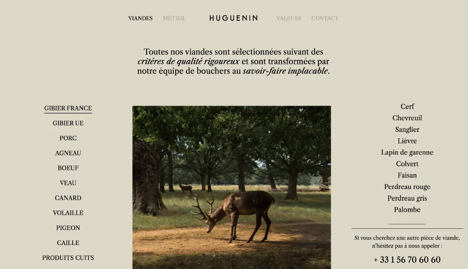 Capture du site WordPress Huguenin réalisé par Codezilla